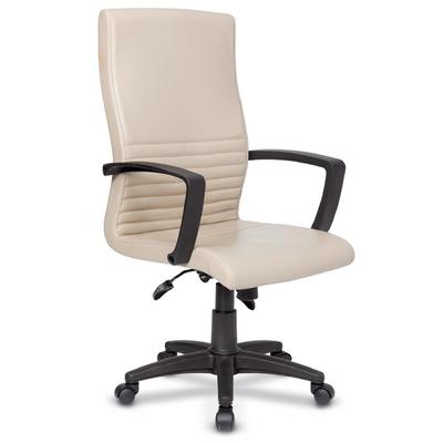 Avek Plastik Yönetici Koltuğu