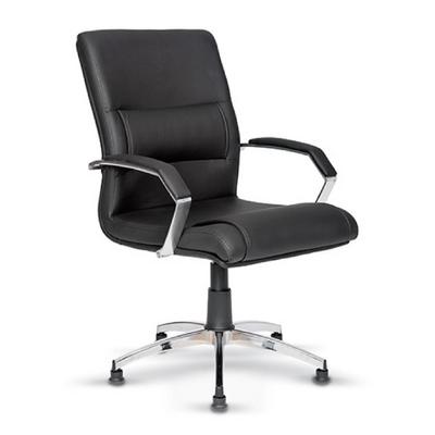 Dermi Misafir Koltuğu