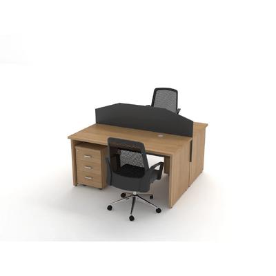 Ecoray 2'li Workstation-Kesonsuz