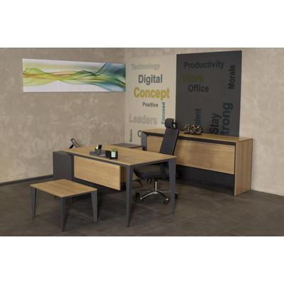 Exen Etajerli Çalışma Masası Takımı