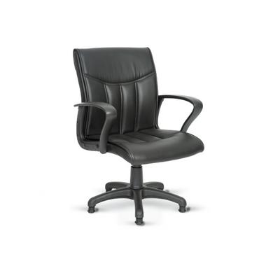 Golden Misafir Koltuğu