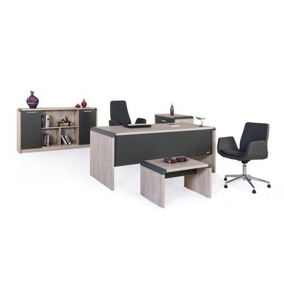 Venüs Yönetici Takımı